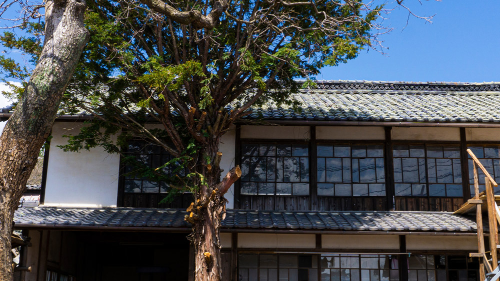 岐阜市で空き家は解体するべき？そのまま売るべき？費用・メリット・判断基準を解説